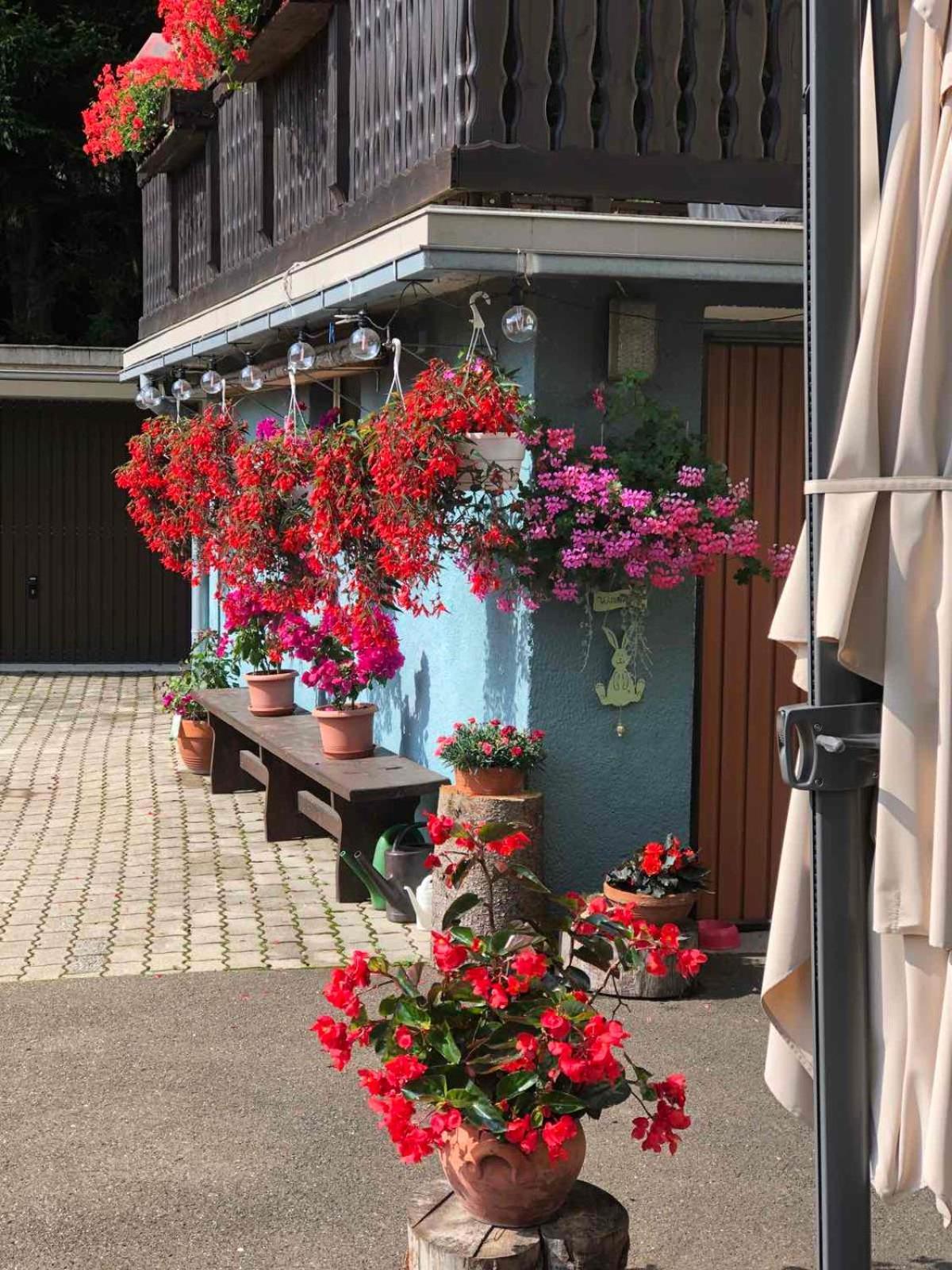 Bed and Breakfast Haus-Erzberg à Vordernberg Extérieur photo